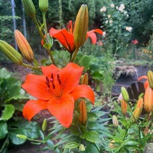 Meet your Posher, Rachel